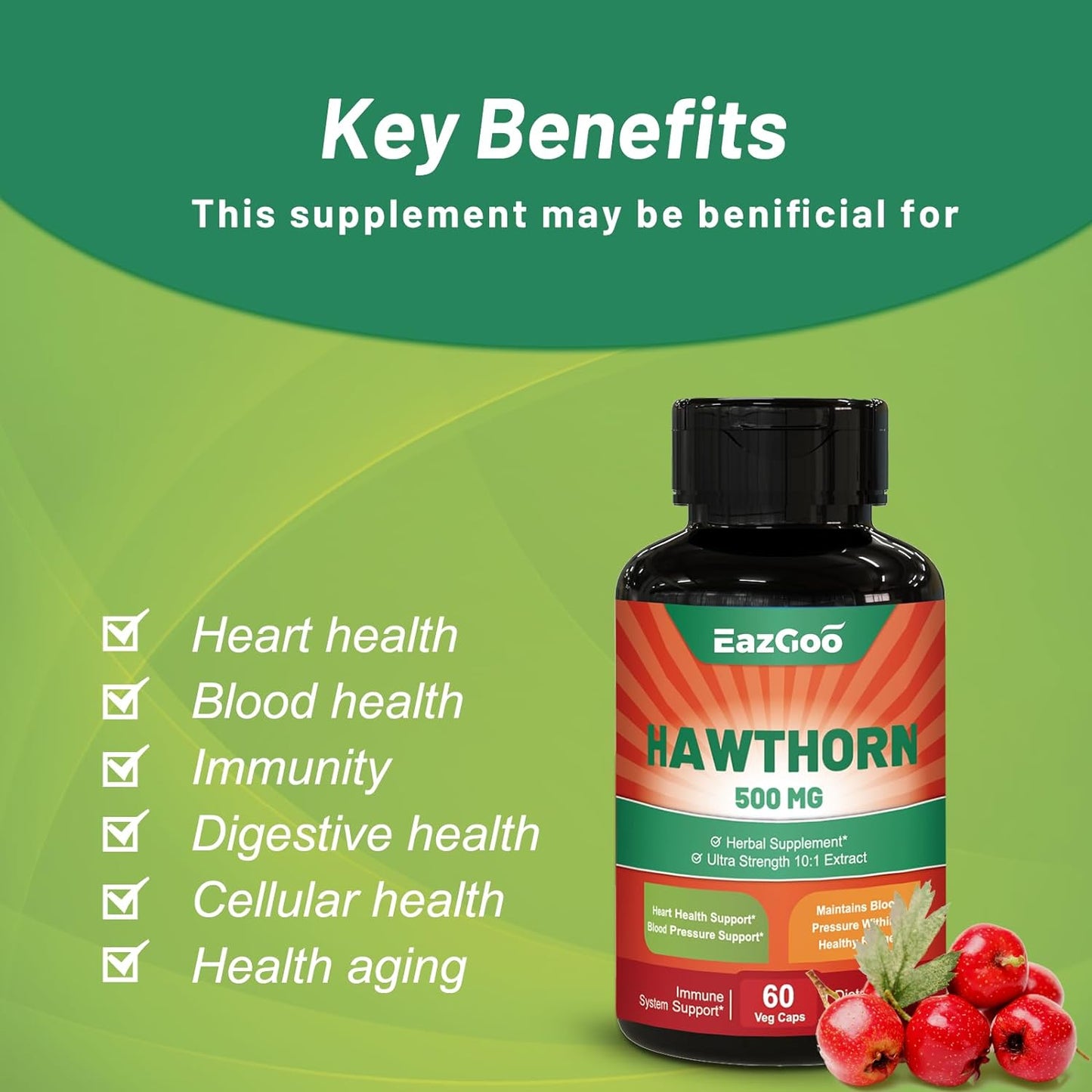 Hawthorn Berry Supplement Extract Polyphenol, Concentrated from 150g of Fresh Berries,Hawthorn Extract 500mg, Hibiscus & Garlic - Vitamins & Herbs 60 Caps