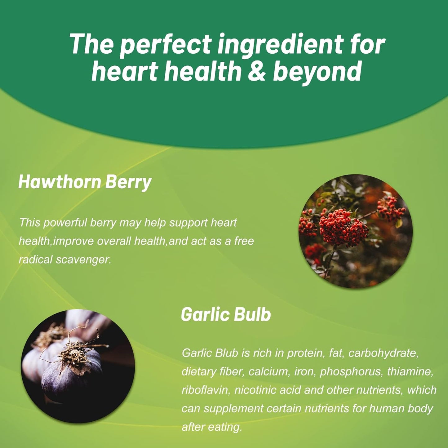 Hawthorn Berry Supplement Extract Polyphenol, Concentrated from 150g of Fresh Berries,Hawthorn Extract 500mg, Hibiscus & Garlic - Vitamins & Herbs 60 Caps